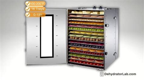 Top 9 Best Commercial Dehydrator For All Businesses.